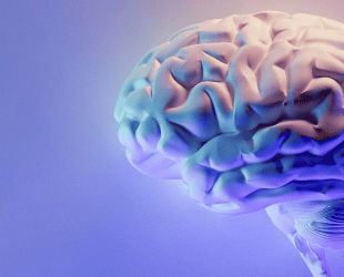 Understanding Women’s Hormones: A Guide to Balance and Health