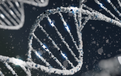 From Chronic Fatigue to Vibrant Energy: A Guide to Optimizing Liver Health