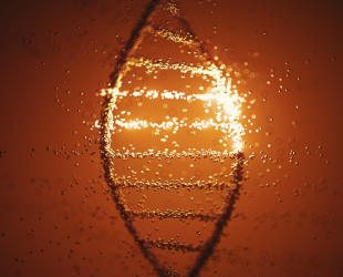 Harnessing the Power of Genetics for Lifelong Wellness