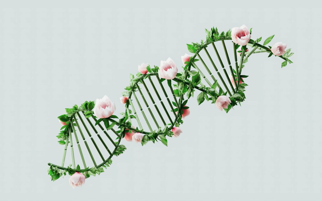 The Age Accelerator: How Blood Sugar Spikes Impact Your Hormones and Longevity